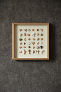 貝殻ウォールアート