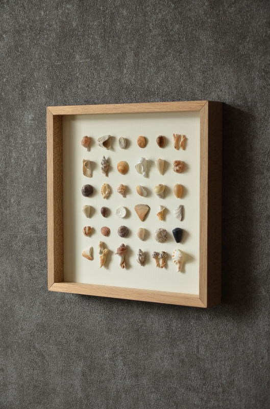 貝殻ウォールアート