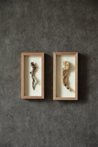 流木ウォールアート