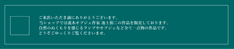 ご来店いただき誠にありがとうございます。当ショップでは流木オブジェ作家、池上裕二の作品を販売しております。自然のぬくもりを感じるランプやオブジェなど全て一点物の作品です。どうぞごゆっくりご覧くださいませ。