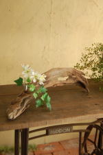 自然流木と天然石のオブジェ花器