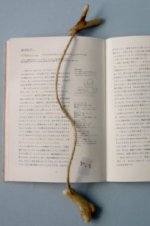 流木・古材家具